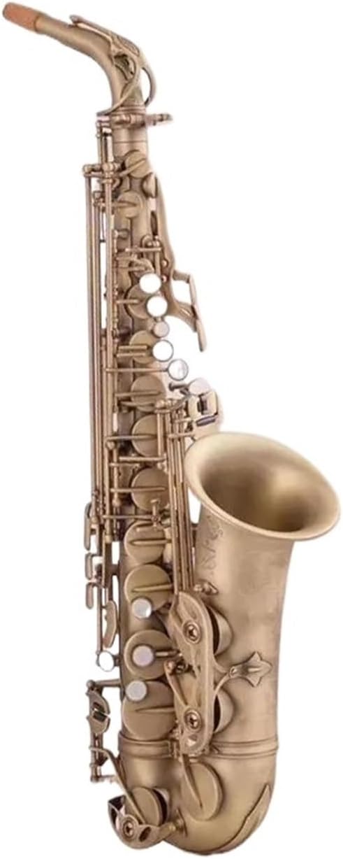 Professional Saxophone Eb E-flat Alto Saxophone Sax Shell Key Carve Pattern Woodwind Instrument With Case