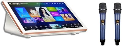 4TB HDD 87K Chinese English Songs 19 Touch Screen Karaoke Player Sound Mixing