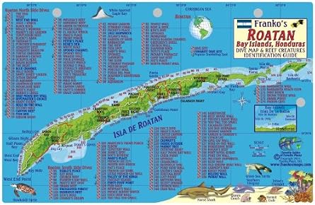 Roatan Honduras Dive Map & Reef Creatures Guide Franko Maps Laminated Fish Card