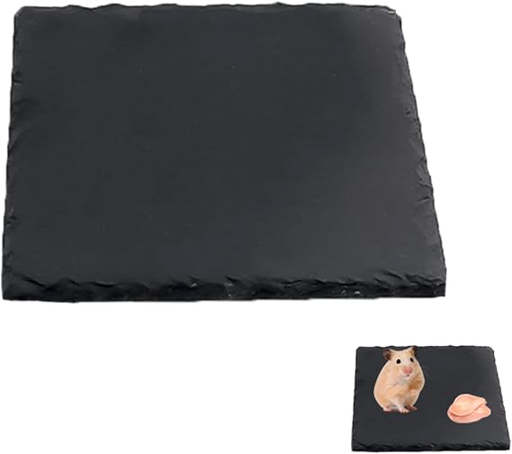 Reptile Basking Slate Platform 10x10cm Tortoise Bathing Resting Habitat