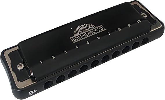 Bushman Roundhouse Harmonica 10 Hole Diatonic with Padded Zipper Case (A)