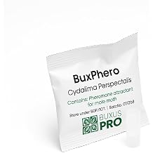 BuxPhero Pheromone Lure Refills for Box Tree Caterpillar Moth Traps, Pack of 4