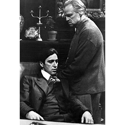 Cartoon world The Godfather Poster, Vito and Michael Corleone, Father and Son, Italian, Gangster, Mafia, Al Pacino, Marlon Brando 32x24 inch