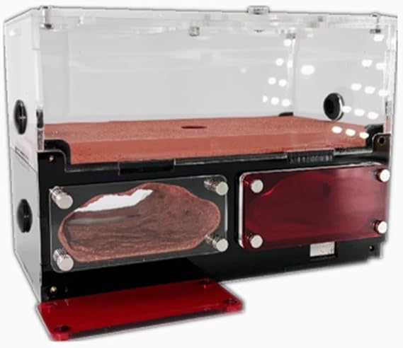Ant Habitat Learning Large Capacity Ant Castle Acrylic Ant Farm Ant Viewing Habitat Ant Nest Farm