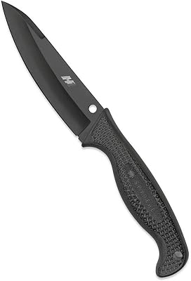 Spyderco Aqua Salt Fixed Blade Knife - Black FRN Handle with PlainEdge, Hollow Grind, H-1 Steel Blade - Includes Polymer Sheath - FB23PBBK