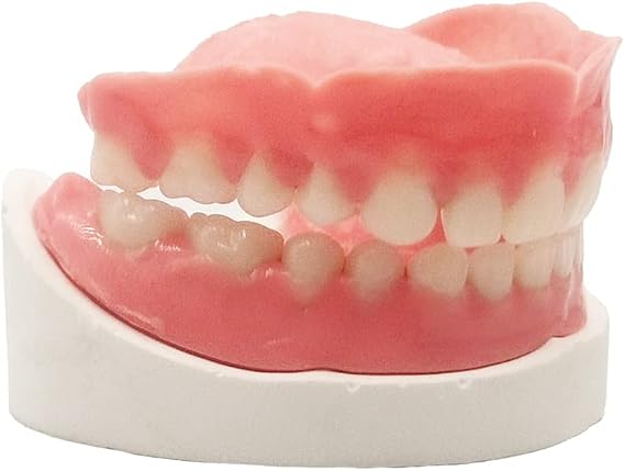 Healthyare Denture Do it Yourself Full Set of Top and Bottom Fake Teeth for Improve Smile