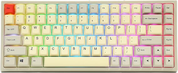 EPOMAKER EP84 84-Key RGB Hotswap Wired Mechanical Gaming Keyboard with PBT Dye-subbed Keycaps for Mac/Win/Gamers (Gateron Black Switch, Vintage Grey White)