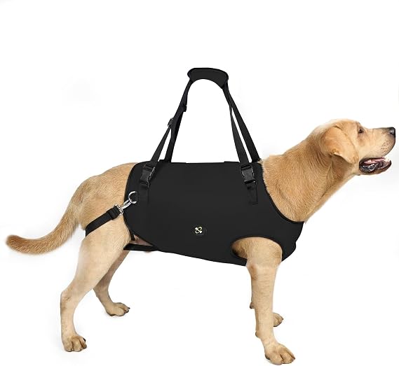 Coodeo Dog Lift Harness, Pet Support & Rehabilitation Sling Lift Adjustable Padded Breathable Straps for Old, Disabled, Joint Injuries, Arthritis, Loss of Stability Dogs Walk (Black, L)