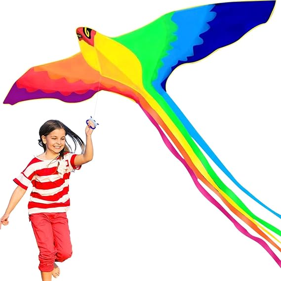 HENGDA KITE Rainbow Bird Phoenix Kite for Kids and Adults Easy to Fly