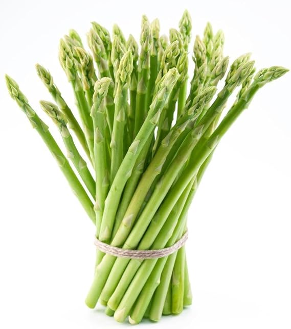 Bulk Organic Mary Washington Asparagus Seeds (1 lb) Non GMO