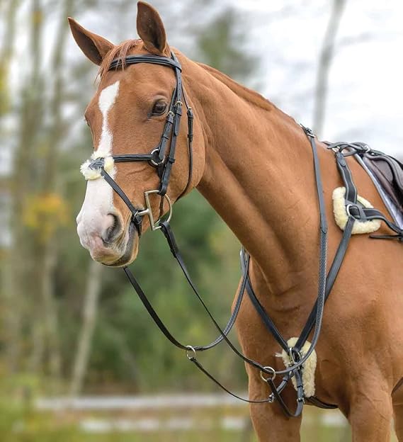 Avignon Five Point Breastplate (Cob, Black)