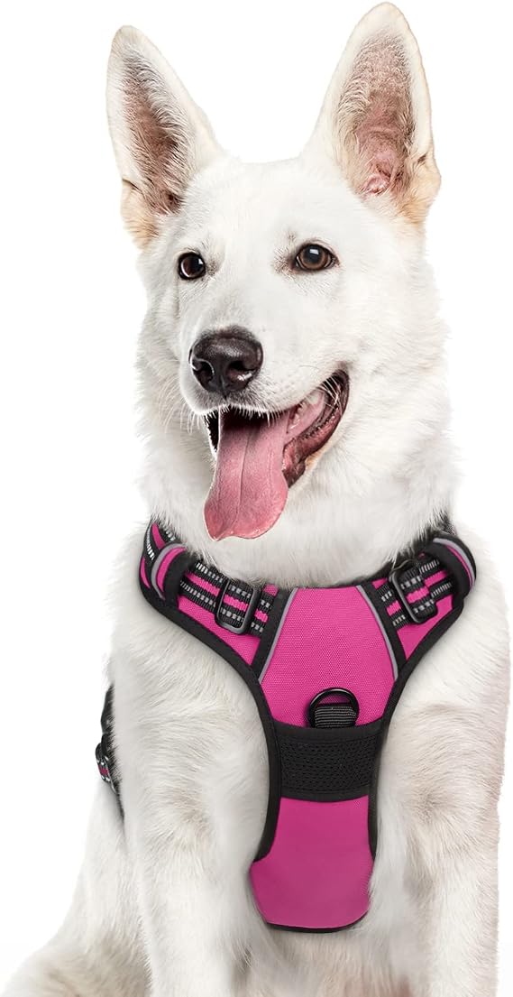 Eagloo Köpek koşum takımı, çekmeden, 2 metal halkalı ve saplı yürüyüş evcil hayvan koşum takımı, ayarlanabilir, reflektörlü, nefes alabilir, Oxford yumuşak yelek, kolay kontrol ön klipsli koşum