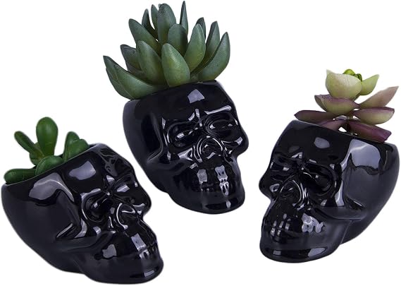VanEnjoy Set of 3 Black Ceramic Skull Shaped Succulent Planter Pots Creative Cactus Plant Pot Pen Pencil Holder, Home Office Desk Decoration