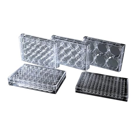 Nest Scientific 748001 TC-Treated Cell Culture Plate, Flat Bottom, Sterile, 48 Well, Polystyrene (Pack of 50)