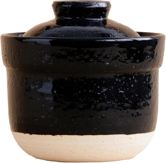 Iga no Takumi Instant Rice Pot Microwave Rice Cooker Clay Pot for One-Person Cooking Authentic Iga-Yaki Donabe Perfect for Rice & Hot Pot (US Version)