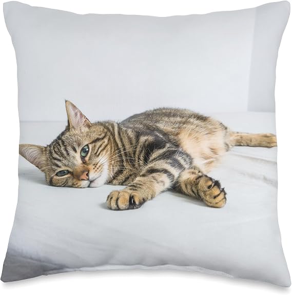 Tabby Cat Throw Pillow