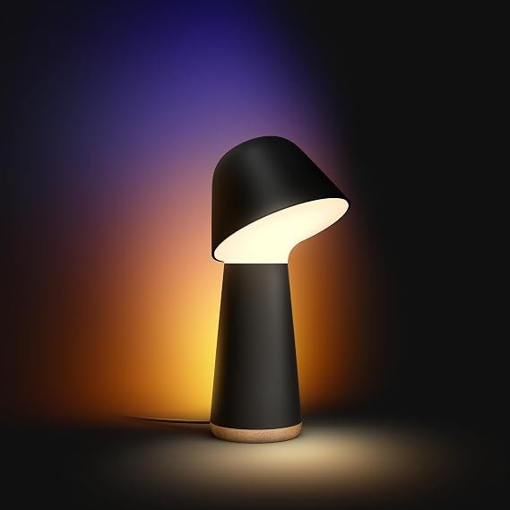 Philips Hue Bedside Lamp Black Philips Hue Twilight Black