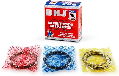 DNJ PR4243.20 Oversize Piston Rings for 2014-2022 Chevrolet, GMC Express 2500, Express 3500, Savana 2500 4.3L V6 12V OHV 262cid