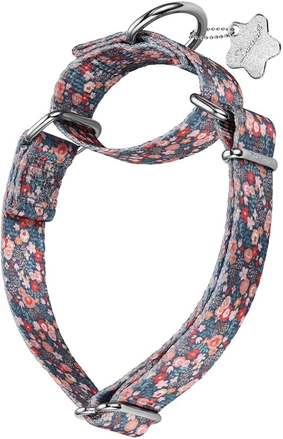 Martingale Collar - Dog Collar - New and Fun Pattern, Heavy Duty Training Collar (No Buckle) for Small, Medium and Large Dogs (Romantic Flower, Large, 1Inch Wide)