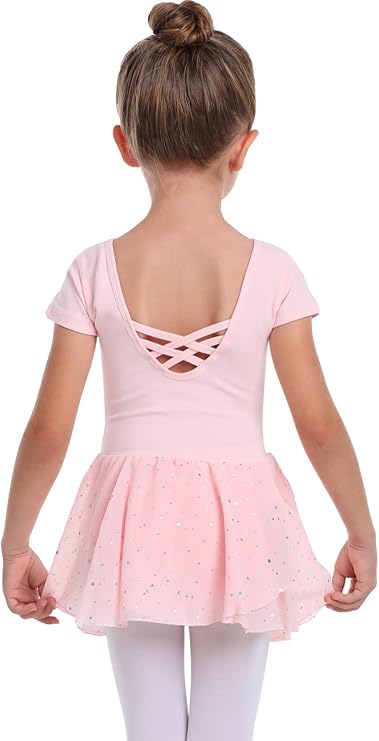 danswan Toddler Girls Long Sleeve Ballet Leotards Dance Dresses Tutu Outfit Ballerina with Glitter Skirt