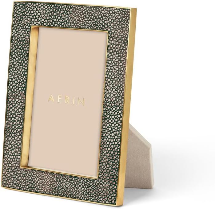 AERIN 4x6 Classic Shagreen Frame - Chocolate