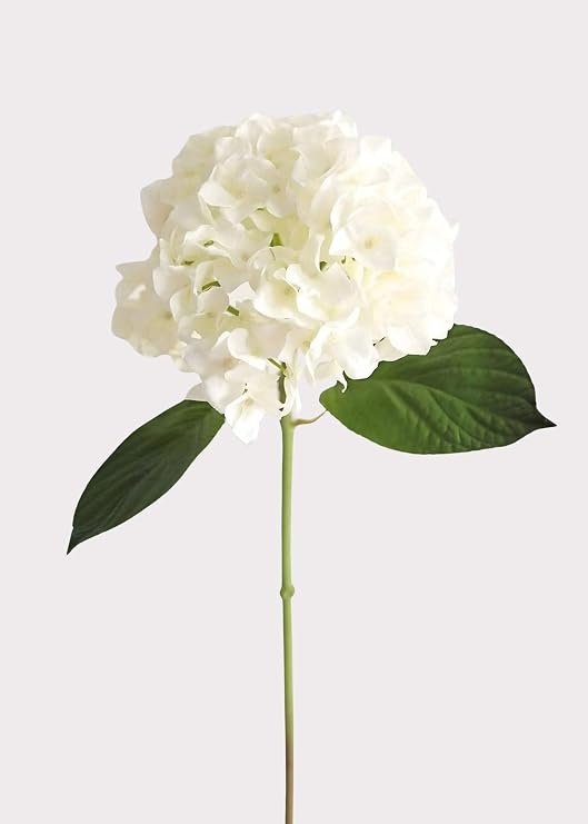 Afloral | Artificial Flower Arrangements | Faux Hydrangea in Talc White | Faux Plants for Vase | Tall Branches Home Decor | Real Looking Flower | Long Stem Greenery