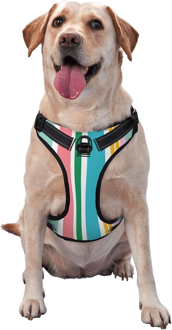 Heerful Colors and Interesting Stripes Dog Harness,No-Pull Pet Harness with 2 Leash Clips,No Choke,Reflective,Adjustable Soft Padded Dog Vest for Small, Medium and Large Dogs (XL)