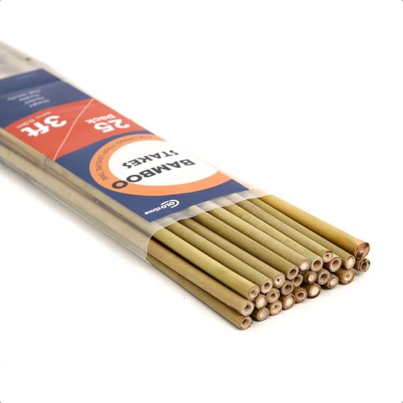 COLOtime Bamboo Stakes 3FT Garden Plant Stake for Indoor Plants 25 Pack | Plant Sticks Bamboo Poles Tomato Stakes Support for Indoor and Outdoor Climbing Plants Eggplants Beans