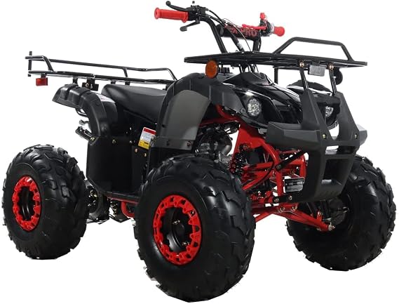 TAO TAO T FORCE MODEL 110CC ,automatic with reverse