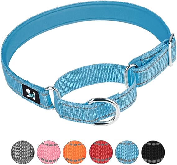 Adjustable Martingale Safety Training Dog Collars, Soft Neoprene Padded Breathable Nylon Pet Collar for Small Medium Large Dogs (S, Blue)