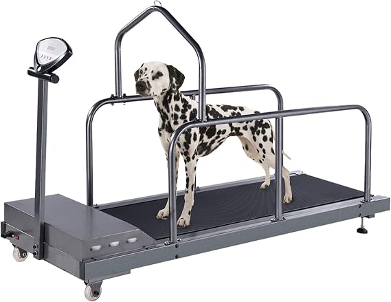 Dog Treadmill for Large Dogs, Doggy Treadmill, Dog Treadmill for Medium Dogs, Pet Running Machine for Small & Medium Dogs Exercise, Indoor Treadmill