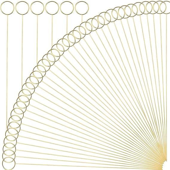 H&W 12''L Golden Ring Loop Round Shape Card Holders 40PCS Floral Picks Clip