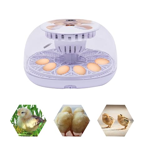 Egg Incubator 20-50℃ Adjustment Temperature Control Hatching Machine for Families/Training Automatic Incubator for Chicken Eggs, Poultry Hatcher for Chickens Ducks Birds, White (Capacity:12 Eggs)
