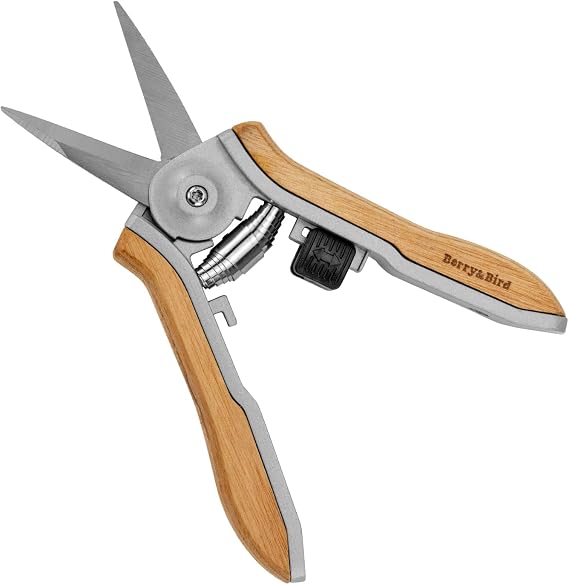 Berry&Bird Wooden Handle Floral Shears, Pointed Blade Gardening Hand Secateurs, Stainless Steel Precision Pruning Clippers, Small Garden Pruners, Bonsai Snips, Herb Trimming Scissors