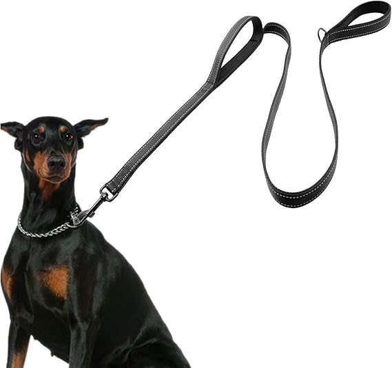 Heavy Duty 6FT Dog Leash with 2 Handles, Reflective Nylon for Large Dogs