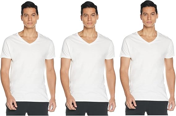 Hanes Ultimate Men's 6-Pack Best V-Neck T-Shirt
