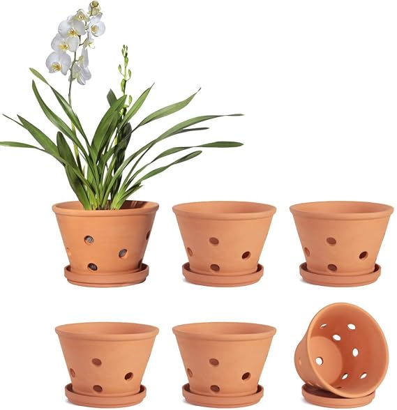 vensovo 4 Inch Terracotta Orchid Pots with Holes and Saucers - 6 Pack Clay Orchid Planter Pots for Repotting, Breathable Flower Pots for Indoor Outdoor, Promotes Air Circulation & Healthy Roots