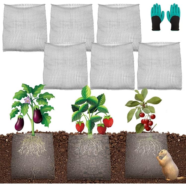 YBB 6PCS Root Guard Baskets, Gopher Wire Speed Baskets, Stainless Steel Mole and Vole Baskets for Garden Plant Root Protection with Gloves 1 Gallon
