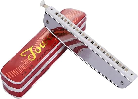 24 Hole Chromatic Harmonica Adult Student Beginner Universal