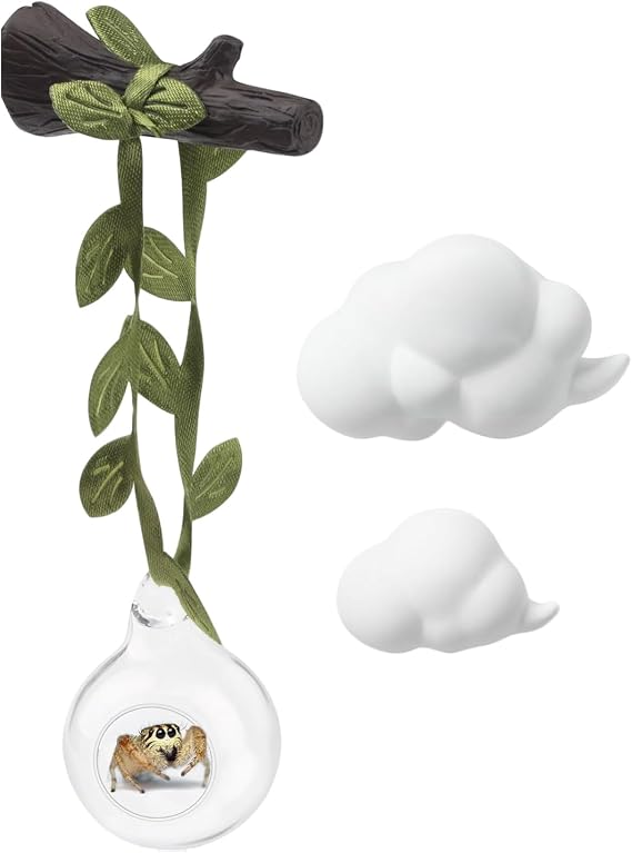 Spider Enclosure Accessories Climbing Cloud Perch