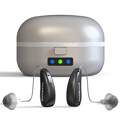 Rechargeable Hearing Aids for Seniors - Smart 16 Channel OTC Amplifier with AI Noise Cancellation, 90Hrs Battery & 6 Ear Tips, Comfort Fit BTE Hearing Aid for TV/Chat Clarity(Black)