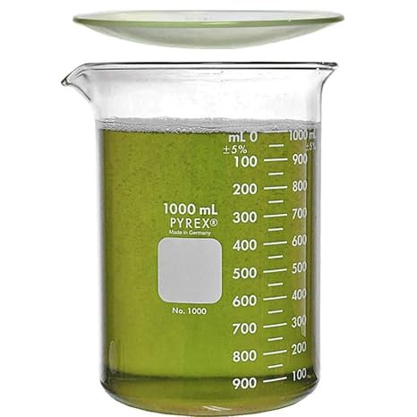 Corning Pyrex 1000-1L, 1000ml Glass Beaker with Corning Pyrex 9985-125, 125mm Watch Glass, Low Form Griffin, Double Scale (Single)