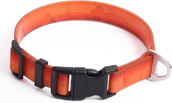 Waterproof & Odor-Free Dog Collar, Heavy-Duty D-Ring & Adjustable Fit, Pet Collar for Small, Medium and Large Dogs (M, Orange)