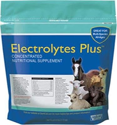 Sav-a-Caf Electrolytes PlusTM Supplement | 6 Pound 6 LB Bag