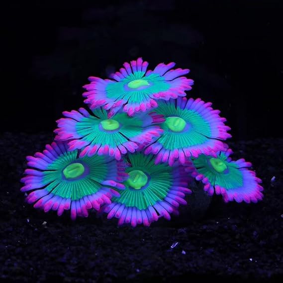 ZtohPyo Glow Fish Tank Decorations, Soft Silicone Coral for Small Aquariums