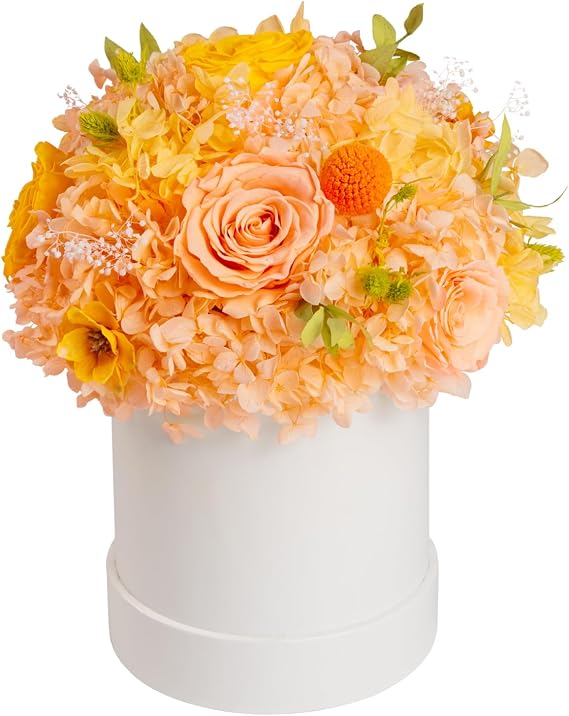 ROSEROSE Preserved Flowers for Delivery Prime,Forever Flowers Bouquet with Gift Box, Eternal Real flowers Gifts for Women,Christmas,Valentine's Day,Anniversary,Birthday for Her (Champagne)