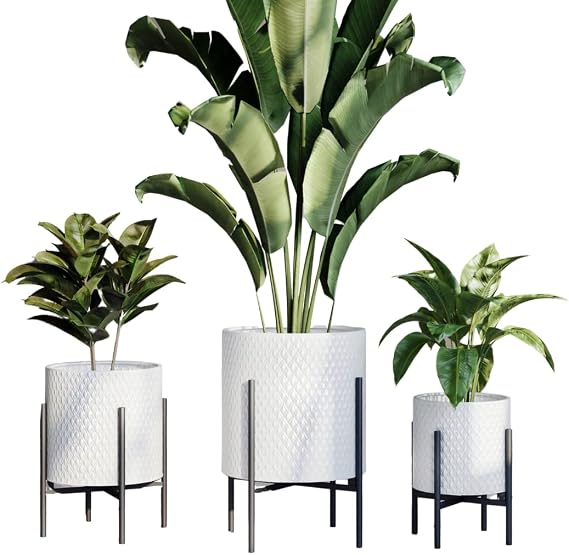 EverNest Claire Mid-Century Modern White Planter and Stand, Indoor Plant Pot, SelectBase, Minimalist Aesthetic, Home Decor for Plants - (Black, Set of 3)