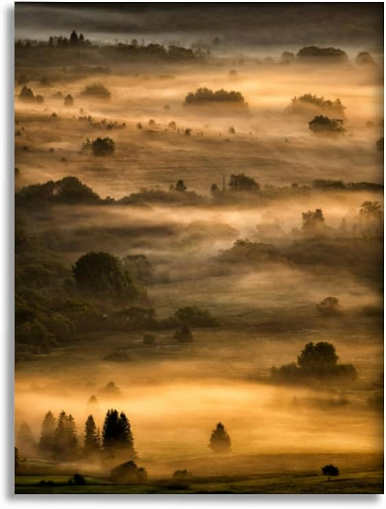 Bathroom Wall Art Sunrise the San River valley the border between Poland and Ukraine Bie Pictures Wall Decor Framed Canvas Wall Art for Bedroom Artwork Paintings Living Room Kitchen Farmhouse 16x20