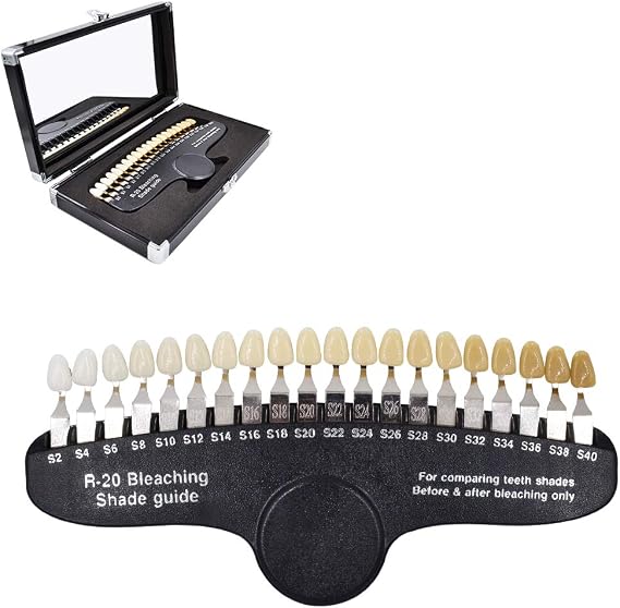 Professional 3D R-20 Dental Tooth Teeth Whitening Shade Guide for Dentist Tracking Teeth Whitening Course, Tooth Shade Guide with 20 Colors