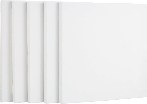Portart Canvas 30X30 Cm 5 Pack